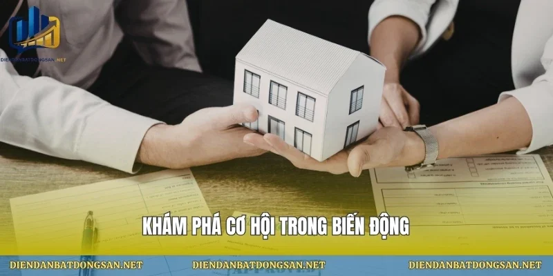 Khám phá cơ hội trong biến động