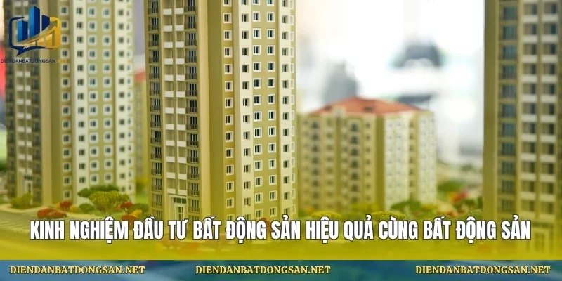 Kinh Nghiệm Đầu Tư Bất Động Sản Hiệu Quả Cùng Bất Động Sản