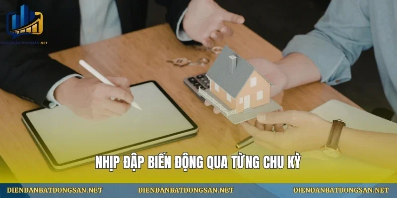 Nhịp đập biến động qua từng chu kỳ